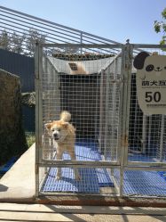 -萌宠亲子动物乐园(槐房万达店)