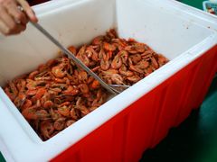-龙达温泉生态城