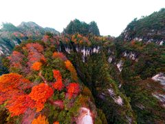 -光雾山旅游景区