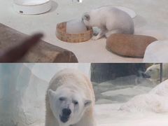 -珠海长隆海洋王国