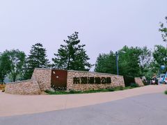 -东郊湿地公园