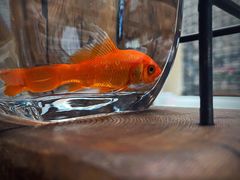 -瓦库茶馆17号(海汇港店)