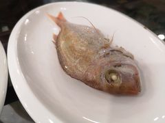 -长平肥姐白粥·海鲜打冷
