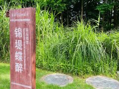 -长田漾湿地公园