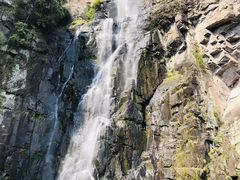 -溪口-滕头旅游景区