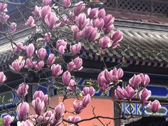 -乌托邦咖啡(武侯祠店)