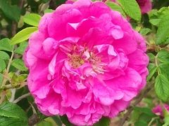 -长春公园(普阳街道)