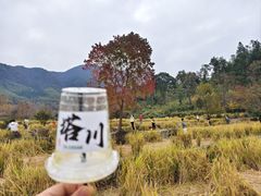 -塔川景区