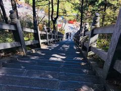 -塔云山