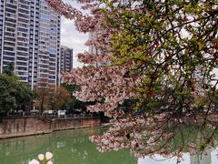 -红星桥(地铁站)