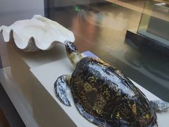 -兰溪市博物馆