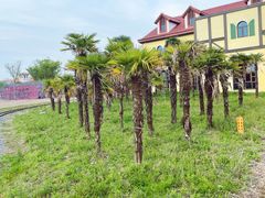 -歌斐颂巧克力小镇