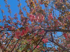 -西北湖绿化广场