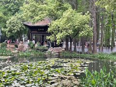 -东湖落雁景区
