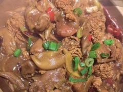 -鸽子窝(黄村店)