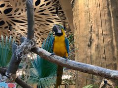 -杭州开元森泊度假乐园