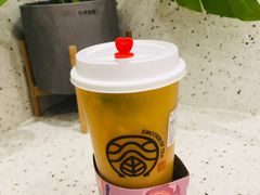 芒果青柠茉莉-眷茶臻选(锦艺城店)