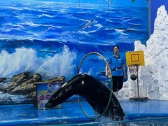 -左海海底世界