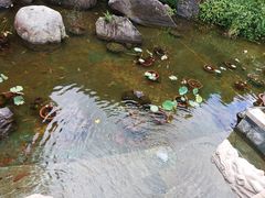 -东部华侨城