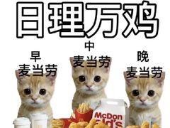 -麦当劳(新新大道岗丰店)