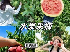 -前小桔亲子创意农场·草莓采摘·露营烧烤