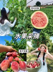 -前小桔亲子创意农场·草莓采摘·露营烧烤