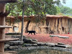 -北京野生动物园