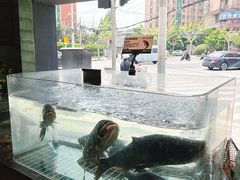 -湘轩·土菜研究院(光大店)