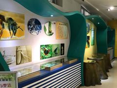 -上海昆虫博物馆