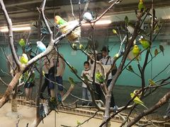 -上海大自然野生昆虫馆(东方明珠·爬宠昆虫探索中心)