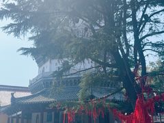 -迎江寺