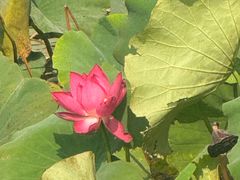 -南戴河国际娱乐中心