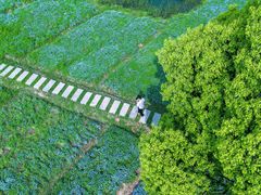 -西溪国家湿地公园