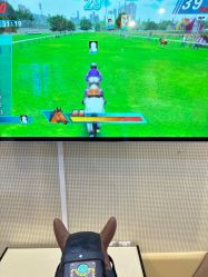 -卡通尼·Safari非洲探索乐园·生日会(金桥国际商业广场店)