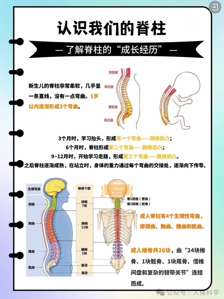 儿童青少年脊柱健康ppt图片