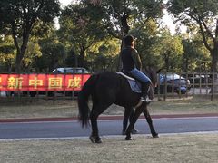 -上海长兴岛郊野公园