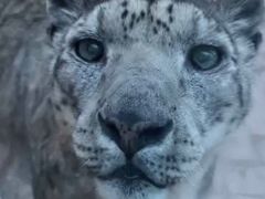 -青藏高原野生动物园