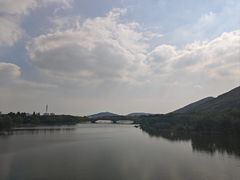 -长广溪湿地公园
