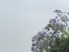 -成都南湖公园
