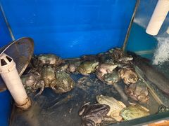 -秦记香辣蟹(松榆里店)