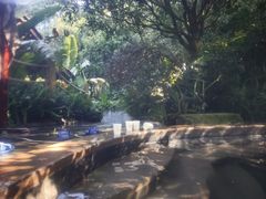 -腾冲洞山温泉村