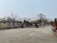 -云岗森林公园