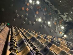 -星河寰宇IMAX影城(星河WORLD·COCO Park店)