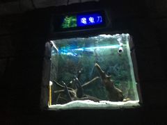 -南昌海洋公园