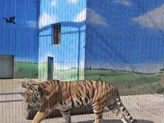 -保定市动物园