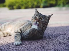 -苏州河梦清园环保主题公园