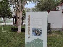 -白洋淀景区