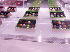 -酷巧·巧克力糖果店