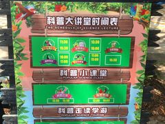 -广州长隆飞鸟乐园