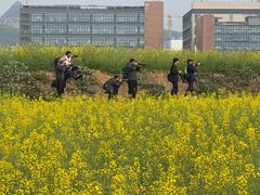 -光明小镇欢乐田园